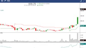 PNB Housing Finance Share Price