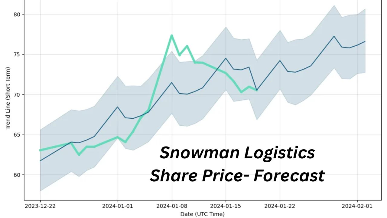 Snowman Logistics Share Price