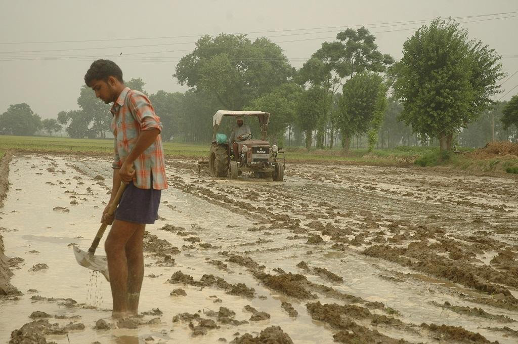 Farmers working together to rescue livestock from flooded fields