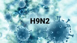 What is the H9N2 virus