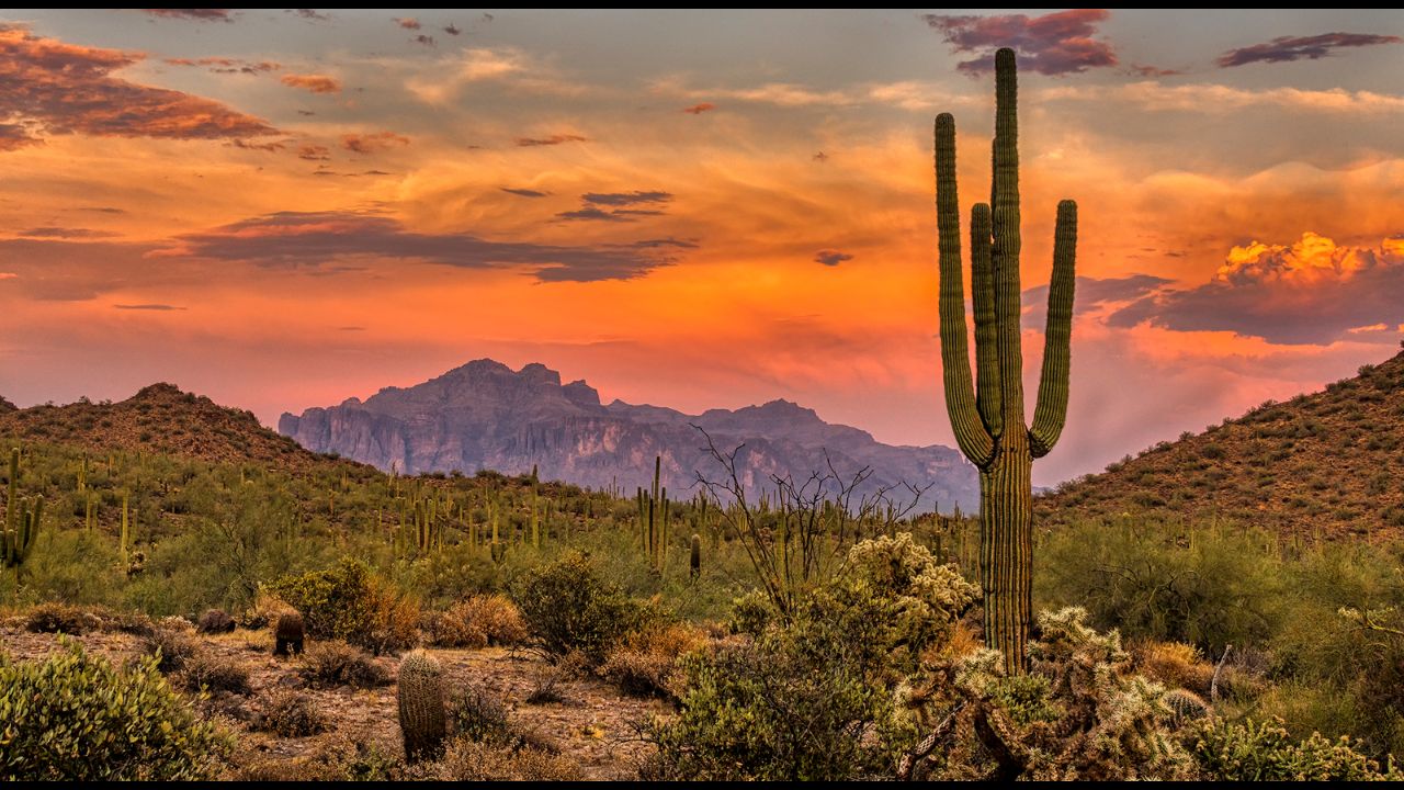 5 National Parks That Shine with Serenity and Fewer Crowds: