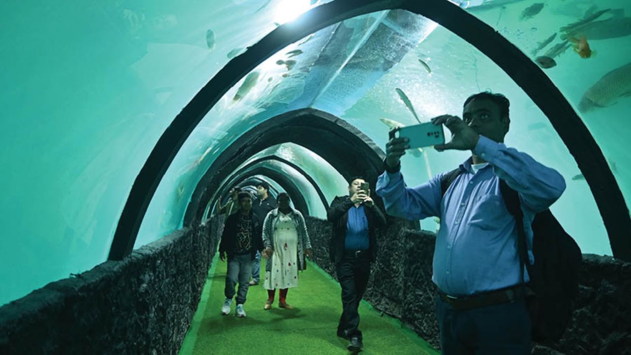 _Exploring Kolkata's Inaugural Underwater Tunnel Aquarium