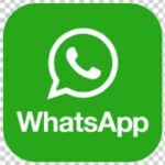 WhatsApp History