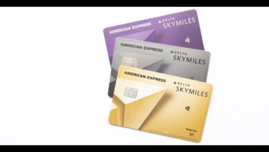 Unveiling Delta SkyMiles AmEx Credit Card Perks