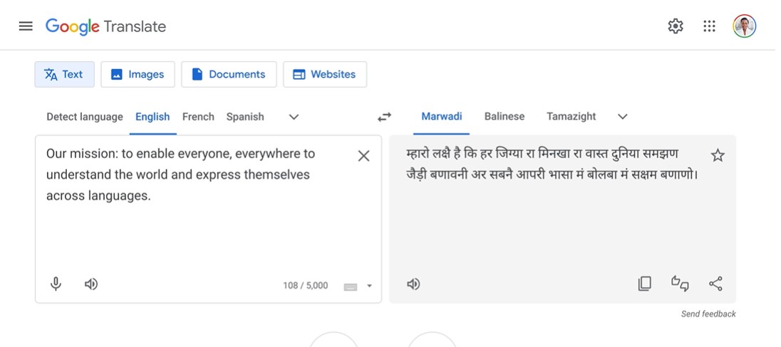 language google translate